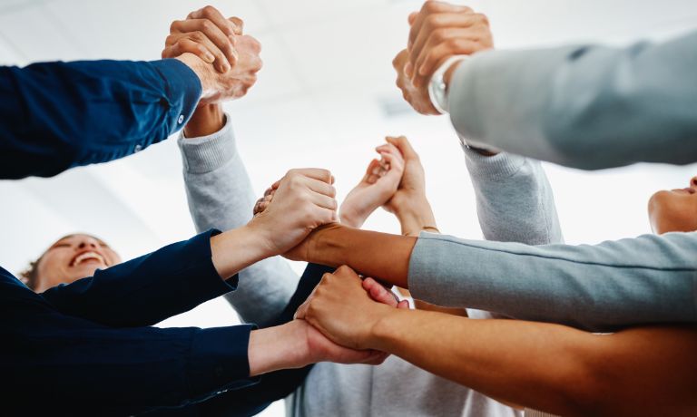 Dedicated Support and Collaboration